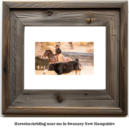 horseback riding near me in Swanzey, New Hampshire